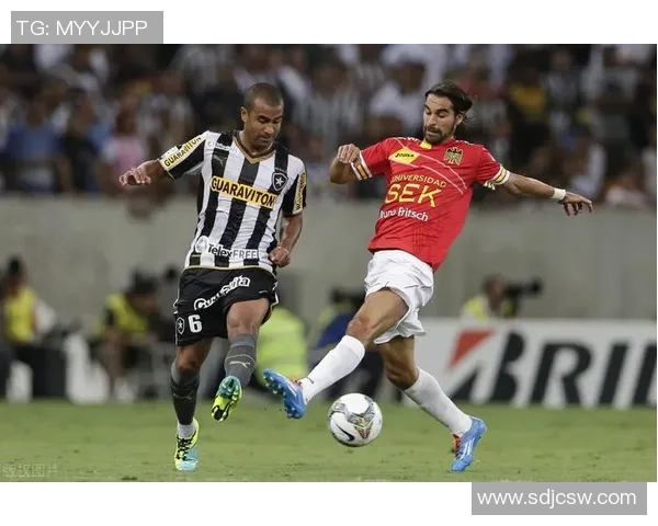 博塔弗戈迎战红牛布拉干蒂诺争夺巴甲积分榜关键胜利 博塔弗戈迎战红牛布拉干蒂诺争夺巴甲积分榜关键胜利